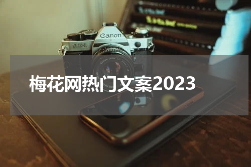 梅花网热门文案2023