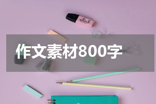 作文素材800字