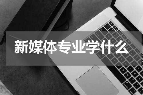 新媒体专业学什么