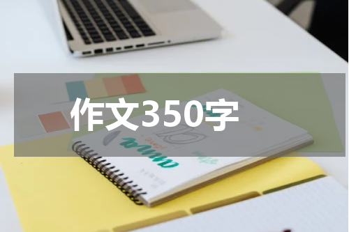 作文350字