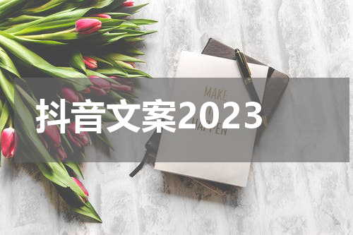 抖音文案2023