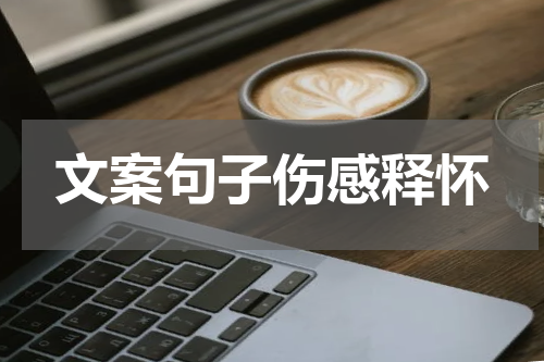 文案句子伤感释怀