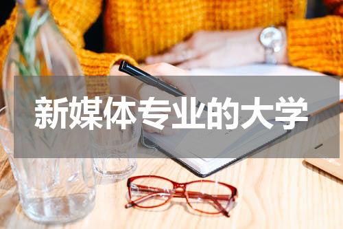 新媒体专业的大学