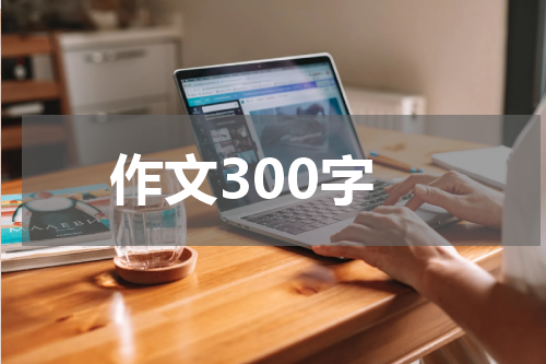 作文300字