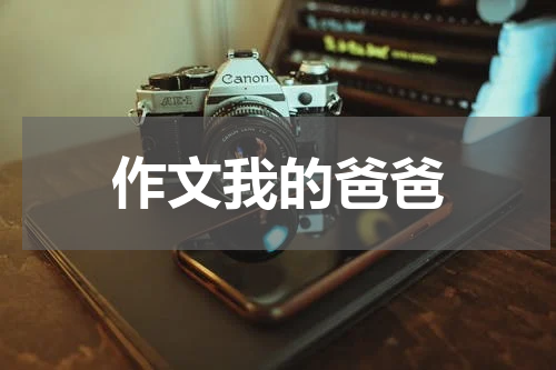 作文我的爸爸