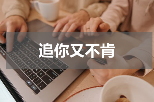 追你又不肯