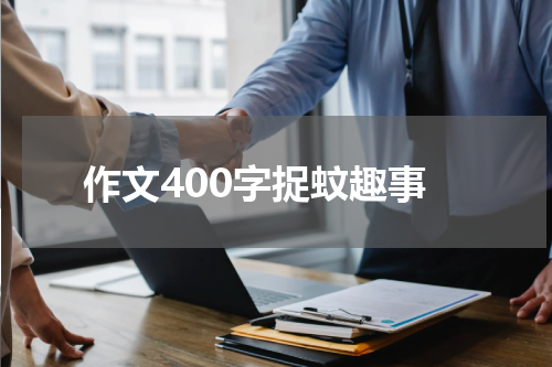 作文400字捉蚊趣事