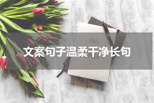 文案句子温柔干净长句
