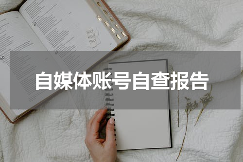 自媒体账号自查报告