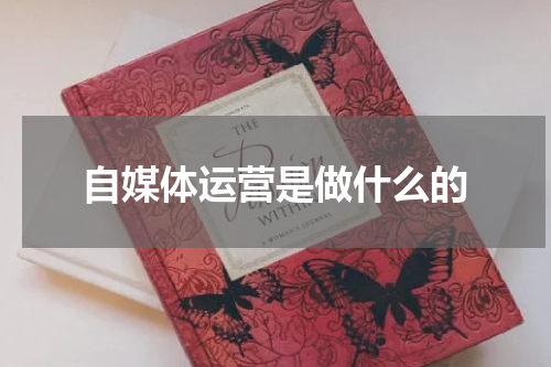 自媒体运营是做什么的