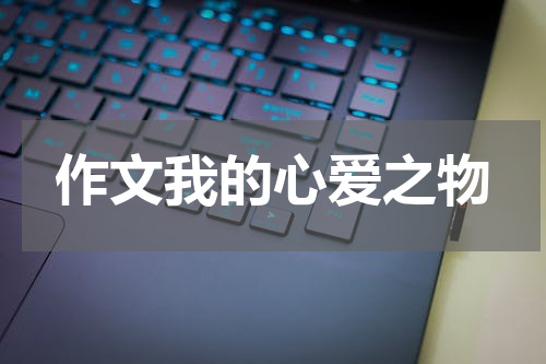 作文我的心爱之物