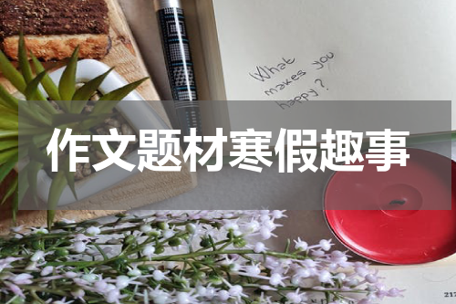 作文题材寒假趣事