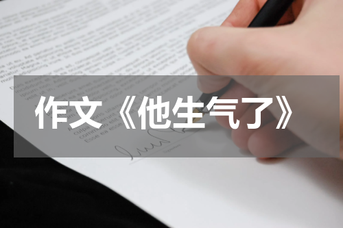 作文《他生气了》