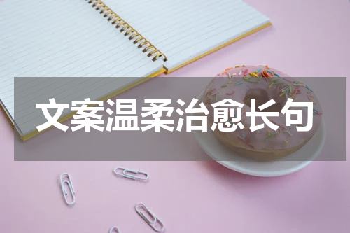 文案温柔治愈长句