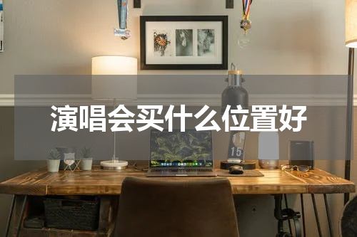 演唱会买什么位置好