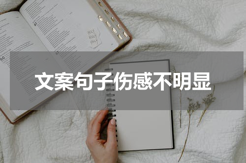 文案句子伤感不明显
