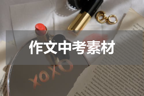 作文中考素材