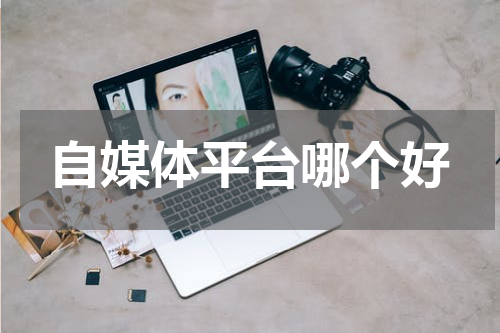 自媒体平台哪个好