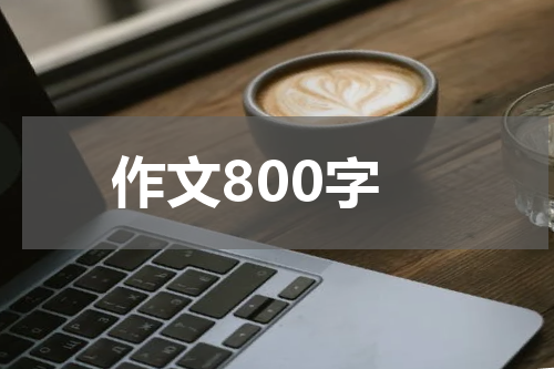 作文800字