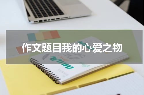 作文题目我的心爱之物