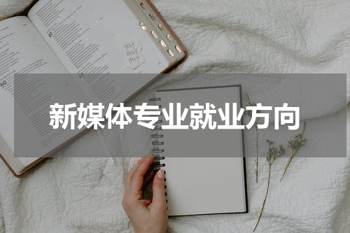 新媒体专业就业方向