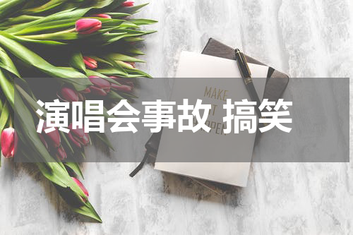 演唱会事故 搞笑