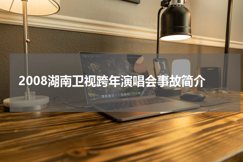2008湖南卫视跨年演唱会事故简介