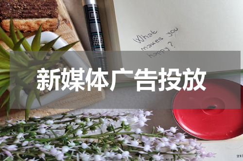 新媒体广告投放
