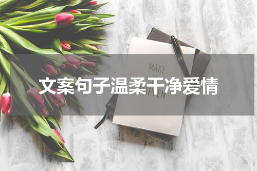 文案句子温柔干净爱情