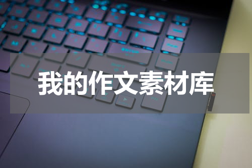 我的作文素材库