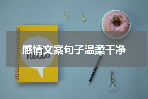 感情文案句子温柔干净