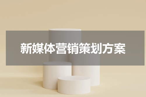 新媒体营销策划方案
