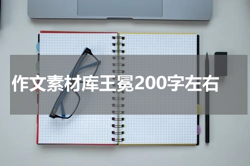 作文素材库王冕200字左右