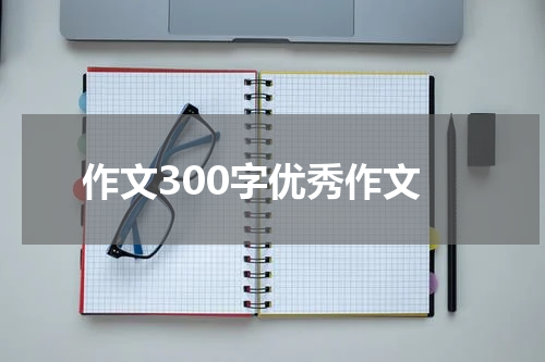 作文300字优秀作文