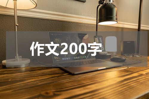 作文200字