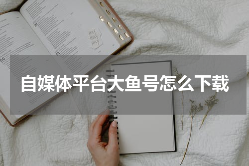 自媒体平台大鱼号怎么下载