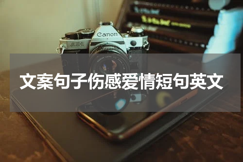 文案句子伤感爱情短句英文