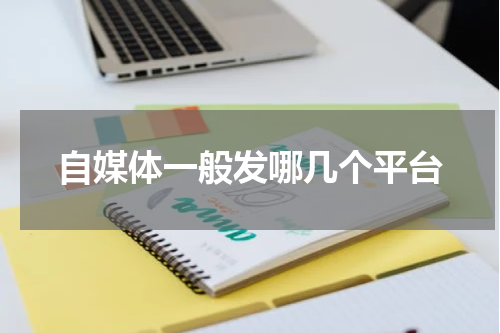 自媒体一般发哪几个平台