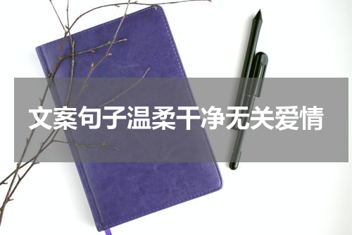 文案句子温柔干净无关爱情