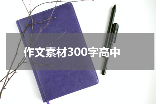 作文素材300字高中