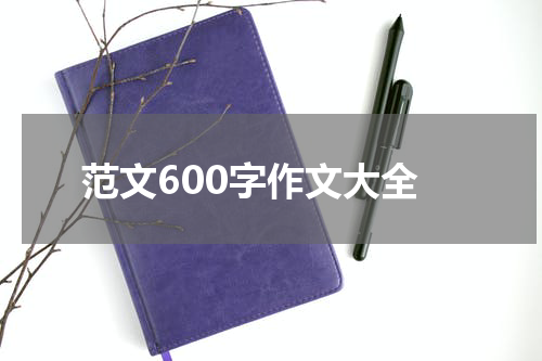 范文600字作文大全