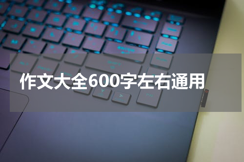 作文大全600字左右通用
