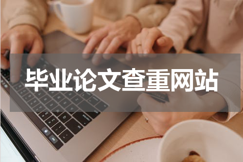 毕业论文查重网站