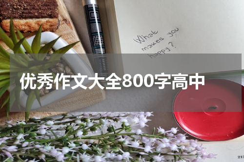 优秀作文大全800字高中