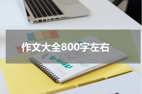 作文大全800字左右