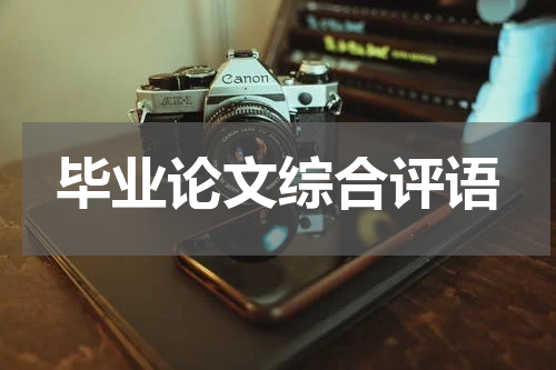 毕业论文综合评语