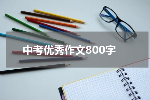中考优秀作文800字