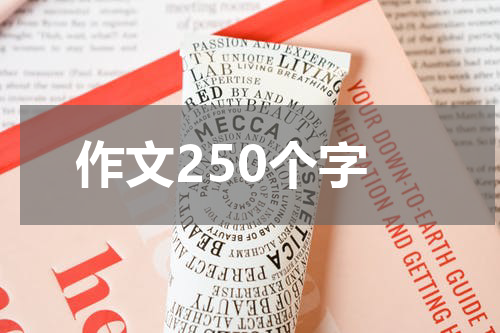 作文250个字