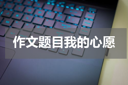 作文题目我的心愿