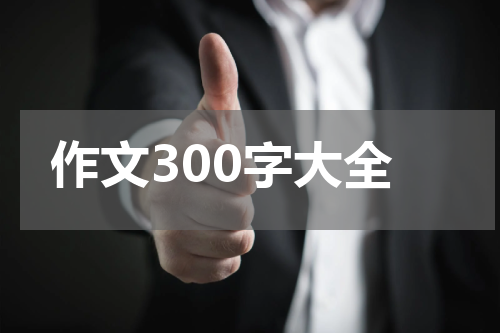 作文300字大全